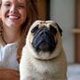 Photo of Chris T. with his cheerful Pug, Daisy